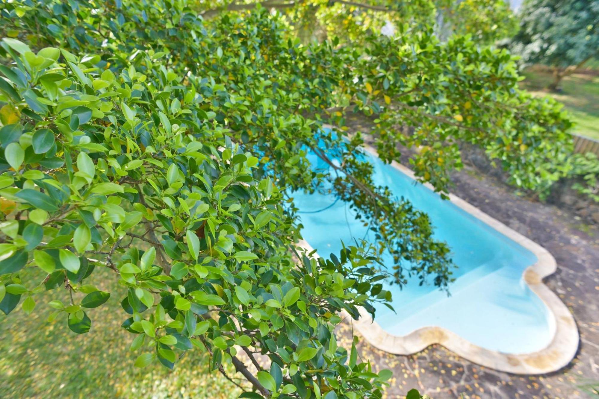 Tree Lodge Mauritius Belle Mare Eksteriør bilde