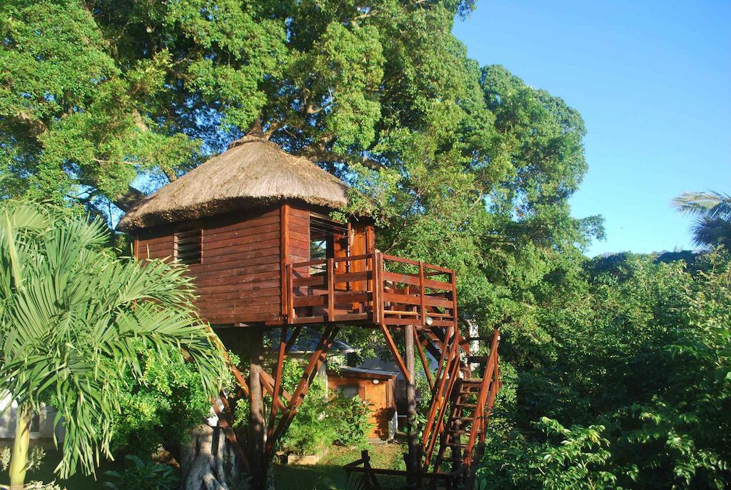 Tree Lodge Mauritius Belle Mare Rom bilde